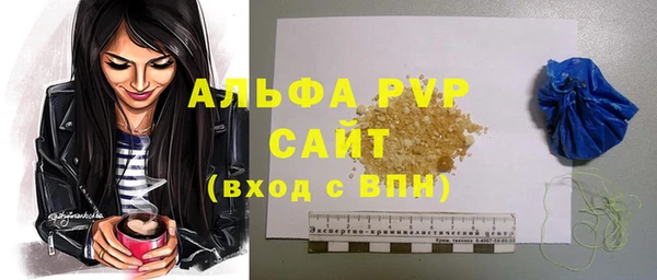 индика Ростов