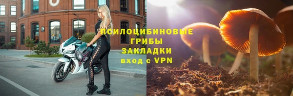 индика Ростов