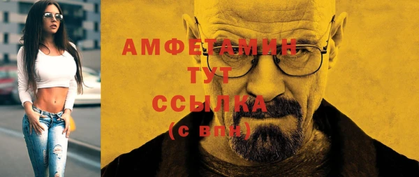 индика Ростов